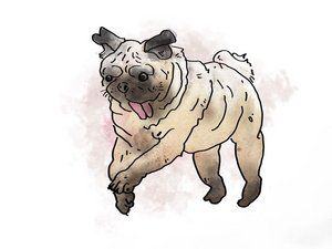 Heinrich Heines Mops © Heinrich-Heine-Institut